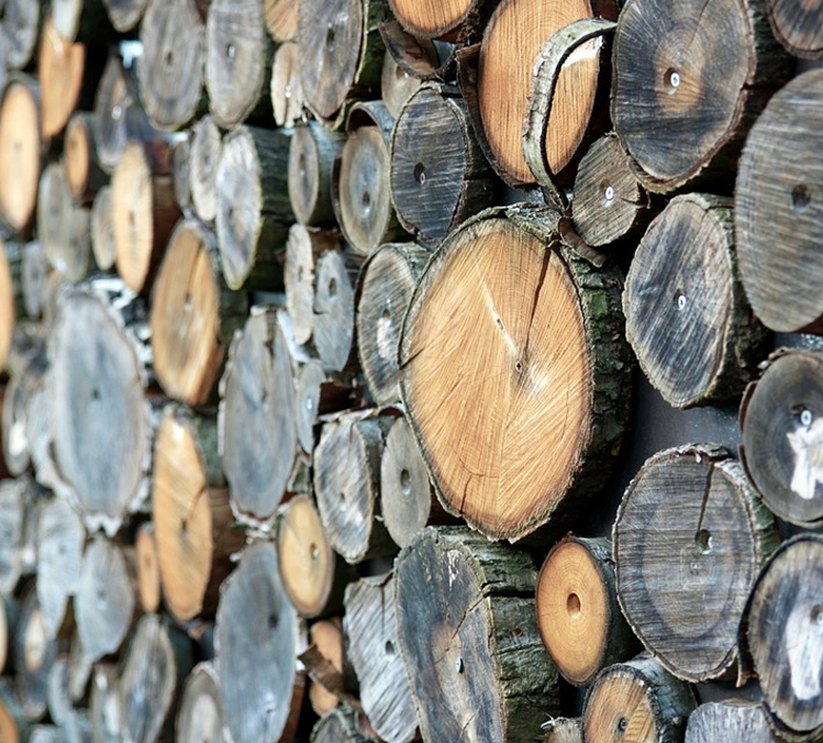 Holz geschnitten Holz geschnitten